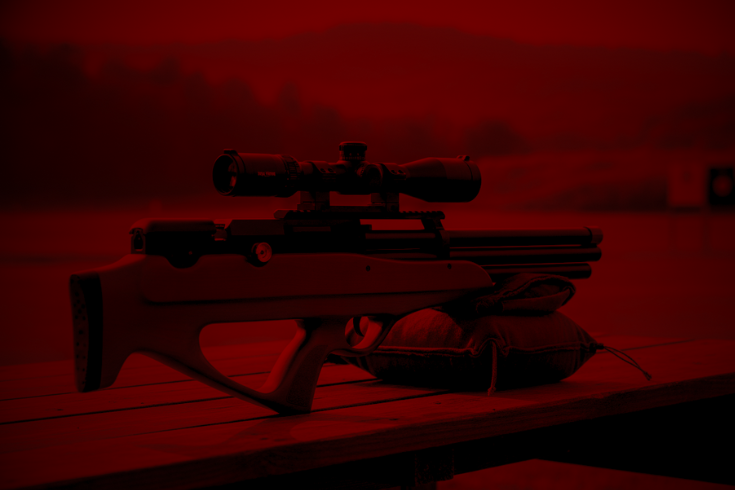 carabina-nova-vista-sao-boas-para-iniciantes